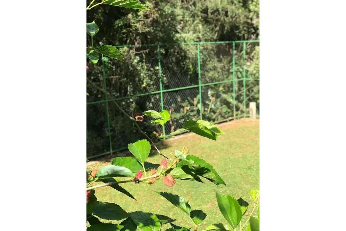 Campos do JordãoCasa Nas Montanhas Com Ofuro别墅 外观 照片